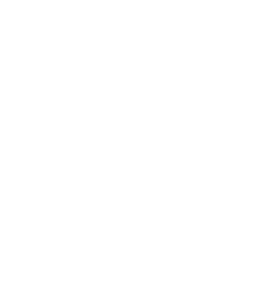 Logo of Orenshtein Hoshen consulting company